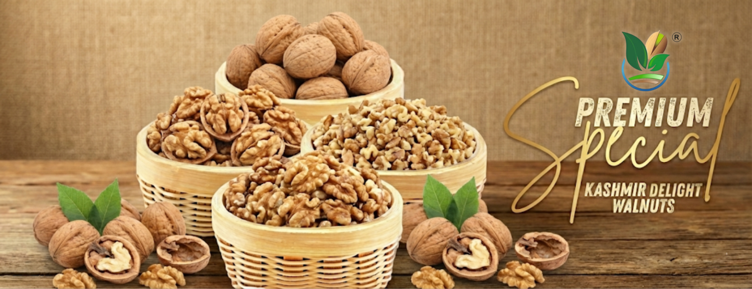 Kashmir Delighting promo
