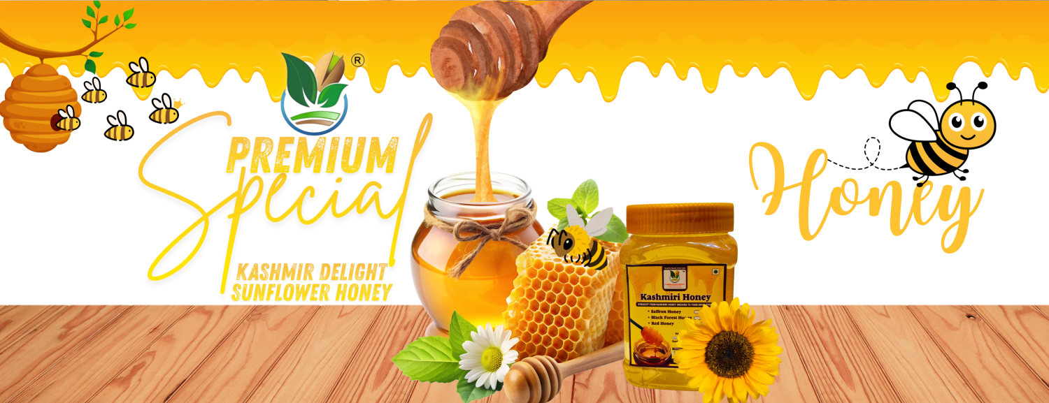 Kashmir Delighting promo